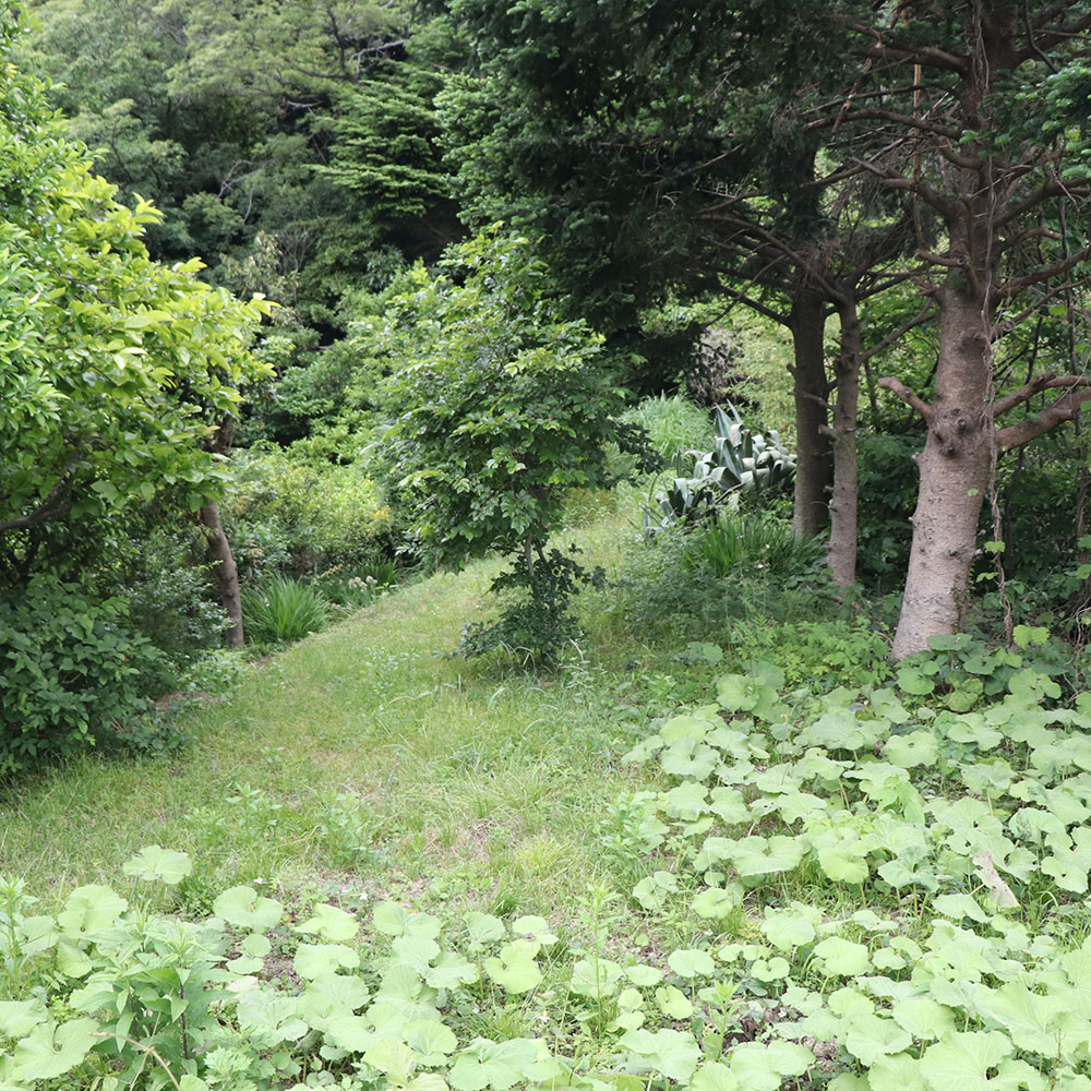 bushcraft campsite Funakoshi yokosuka kanagawa japan