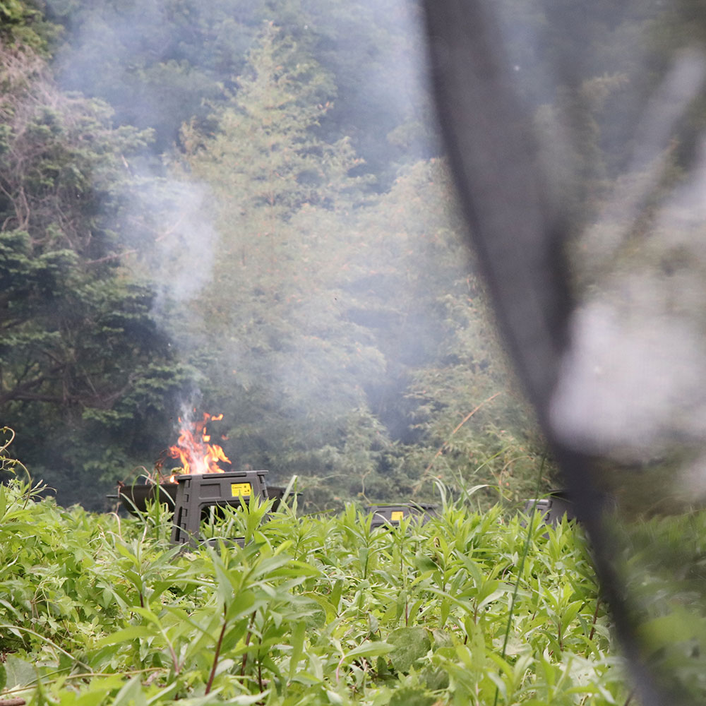 bushcraft campsite Funakoshi yokosuka kanagawa japan