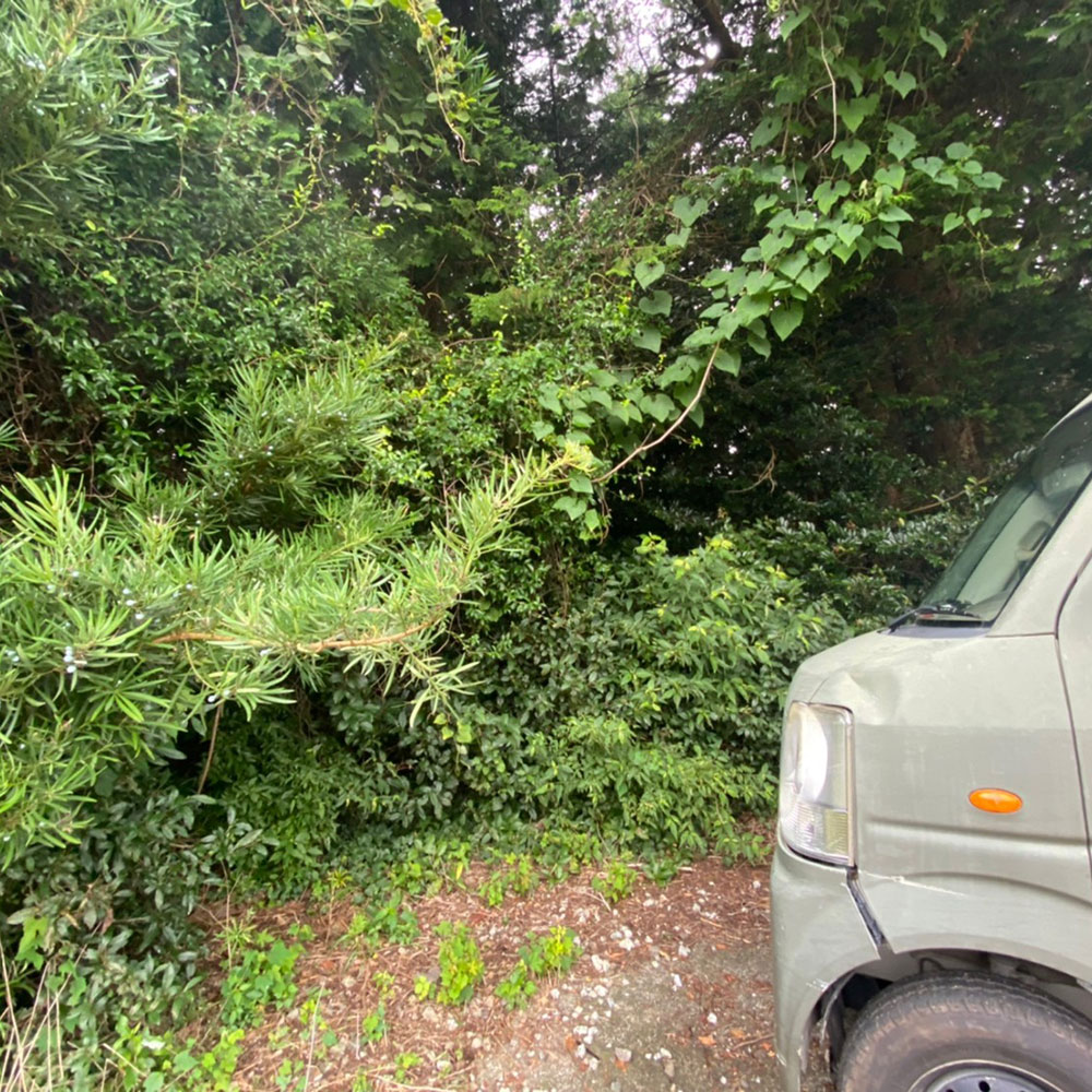 bushcraft campsite odawara hayakawa kanagawa japan