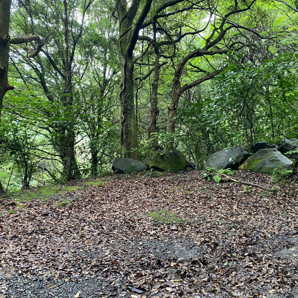bushcraft campsite odawara iryuda kanagawa japan