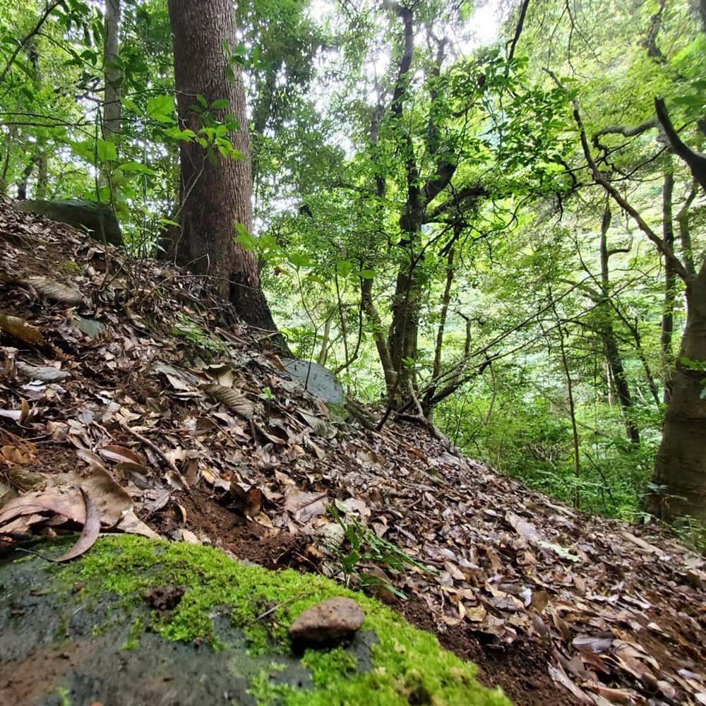 bushcraft campsite odawara iryuda kanagawa japan