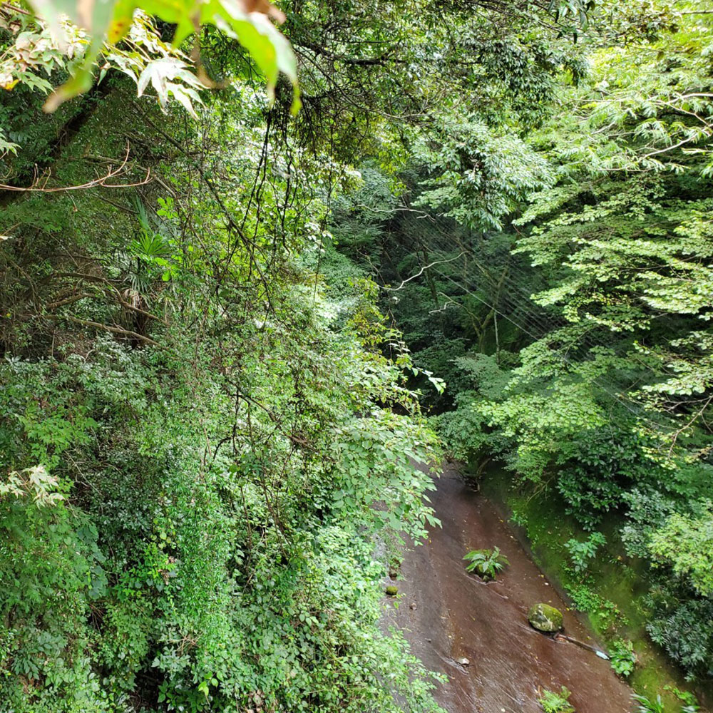 bushcraft campsite odawara iryuda kanagawa japan