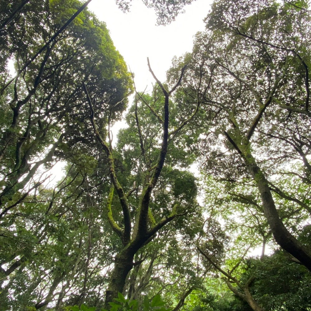 bushcraft campsite odawara iryuda kanagawa japan