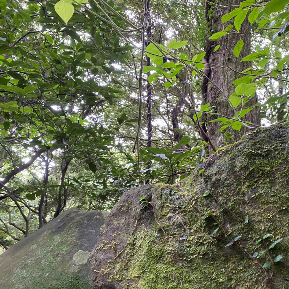 bushcraft campsite odawara iryuda kanagawa japan