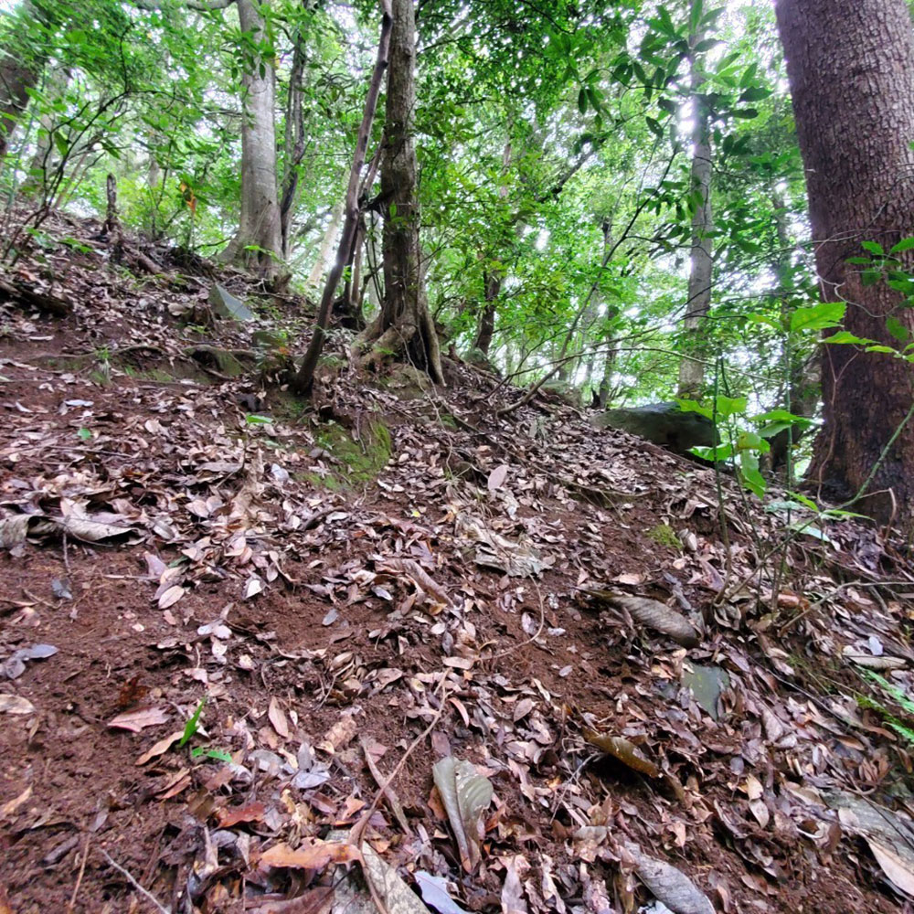 bushcraft campsite odawara iryuda kanagawa japan