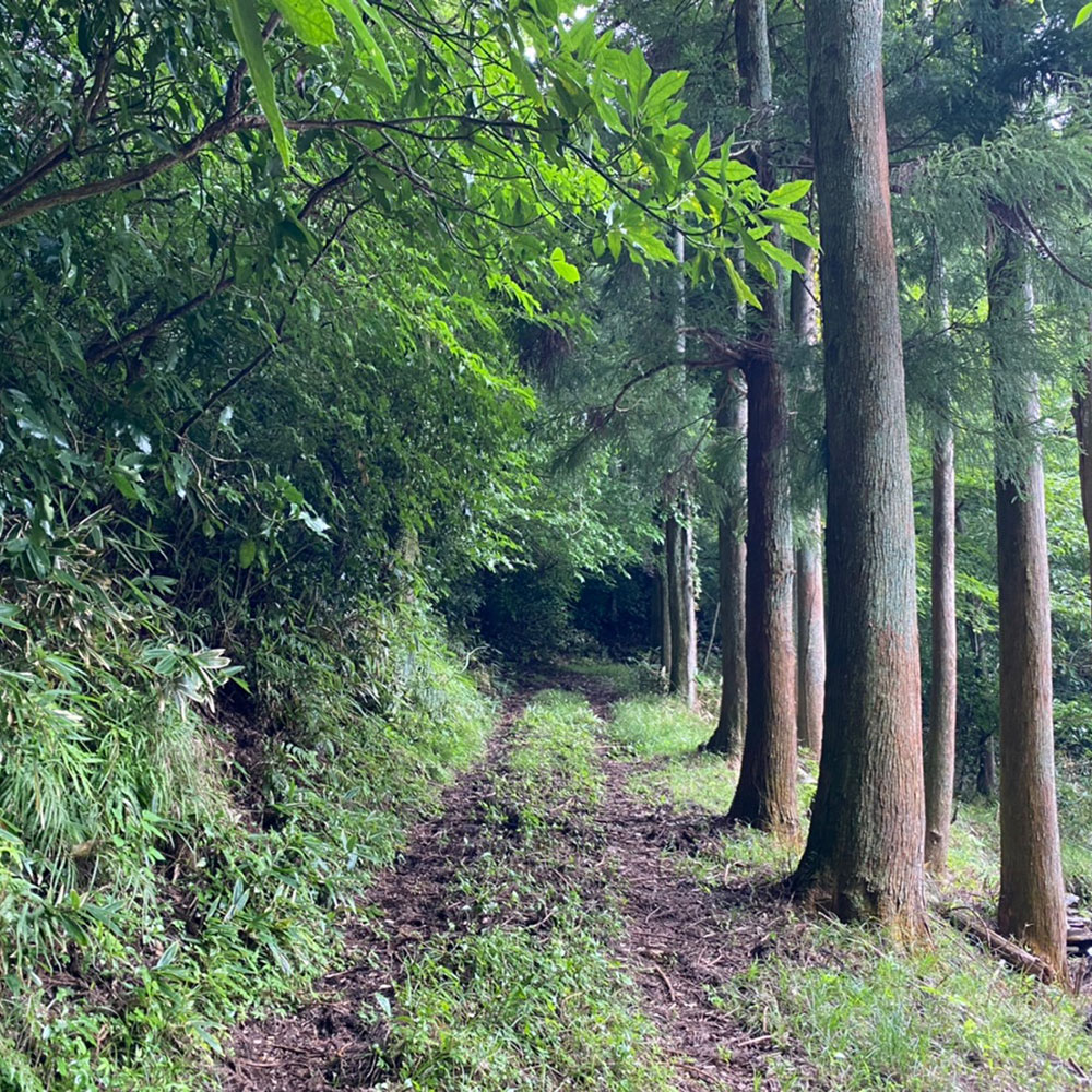 bushcraft campsite odawara iryuda kanagawa japan