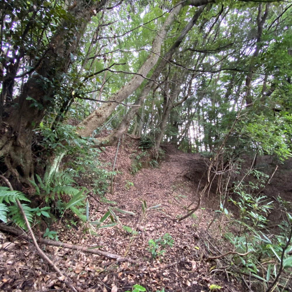 bushcraft campsite odawara iryuda kanagawa japan
