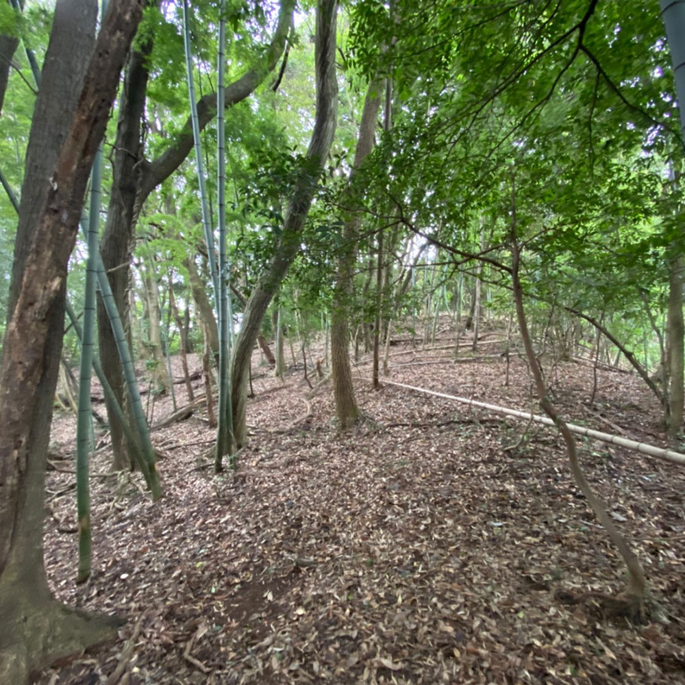 bushcraft campsite odawara iryuda kanagawa japan