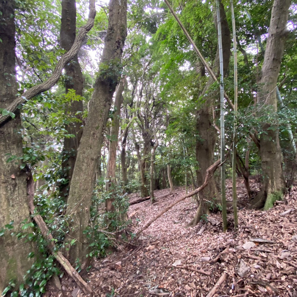 bushcraft campsite odawara iryuda kanagawa japan