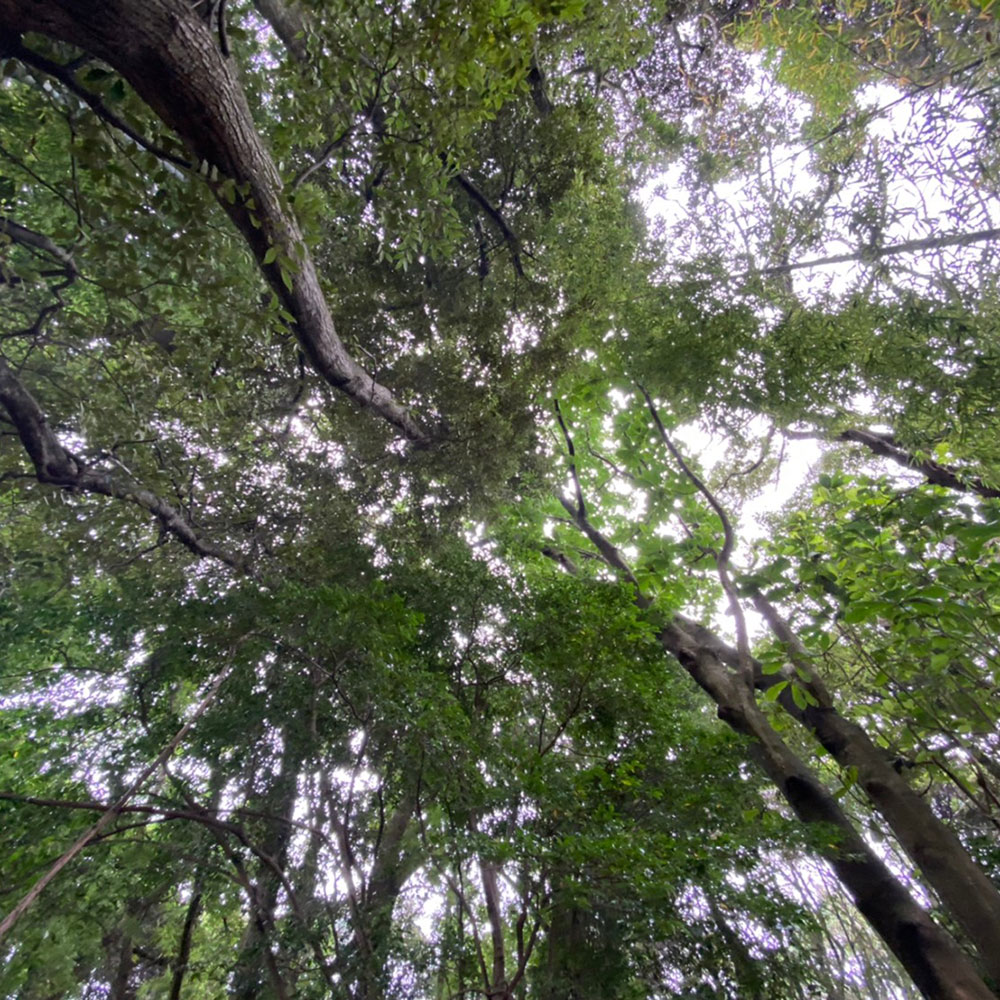 bushcraft campsite odawara iryuda kanagawa japan