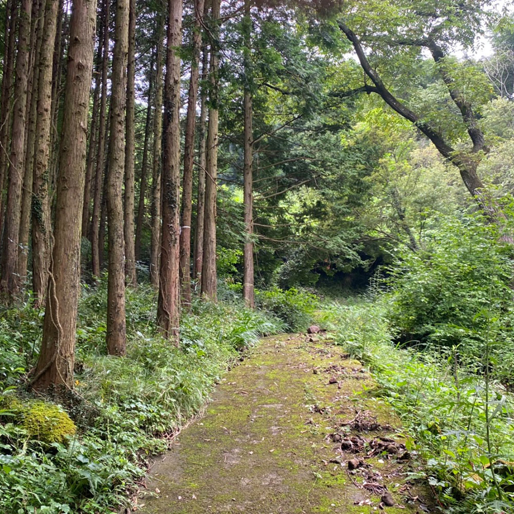 bushcraft campsite odawara iryuda kanagawa japan