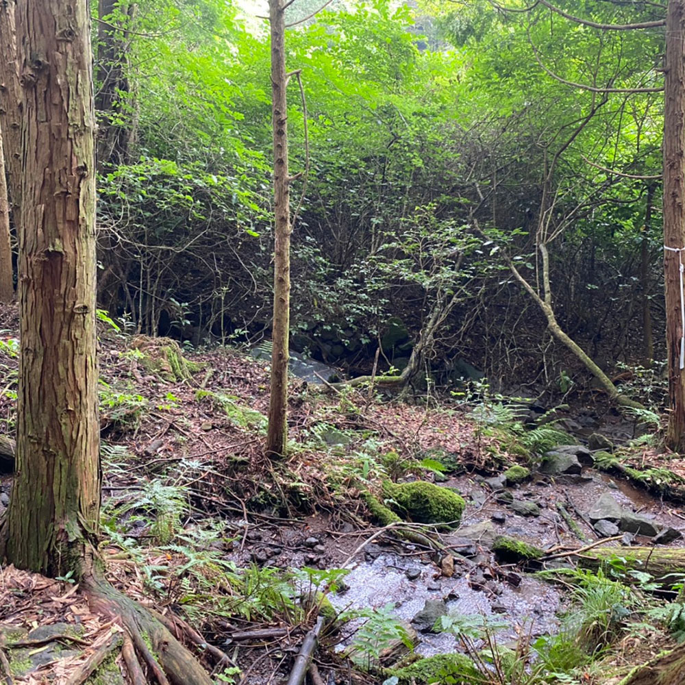 bushcraft campsite odawara iryuda kanagawa japan