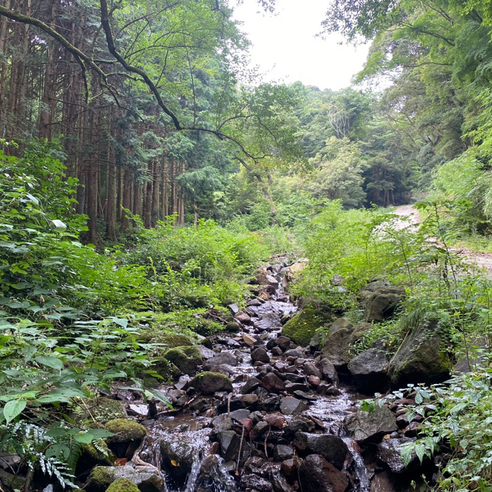 bushcraft campsite odawara iryuda kanagawa japan