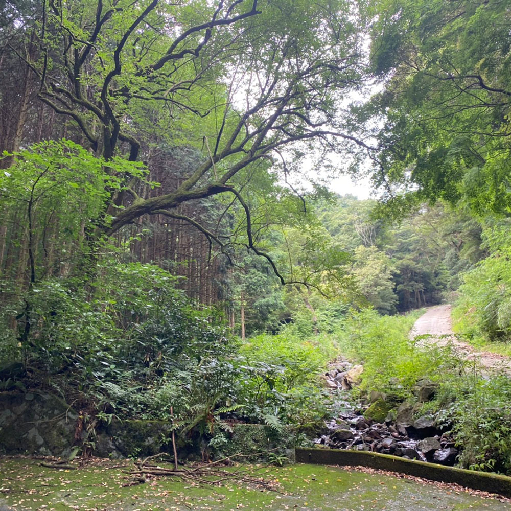 bushcraft campsite odawara iryuda kanagawa japan
