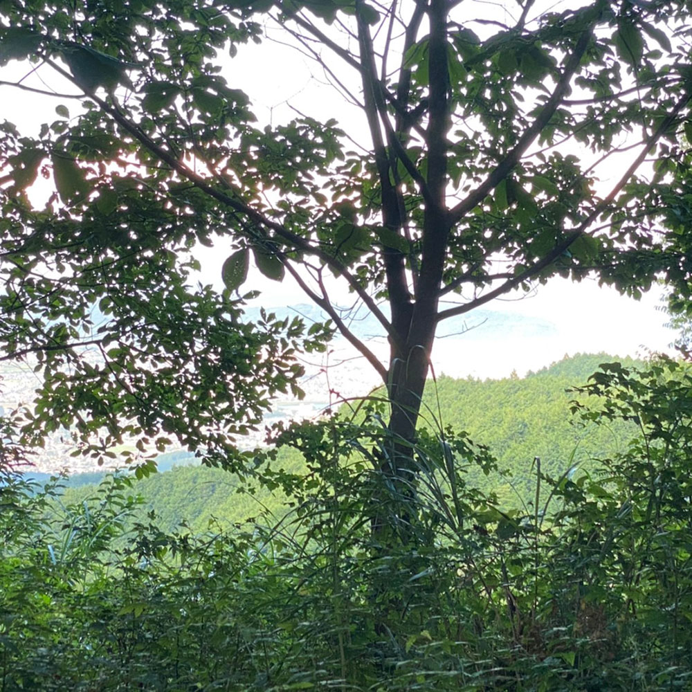 bushcraft campsite odawara iryuda kanagawa japan