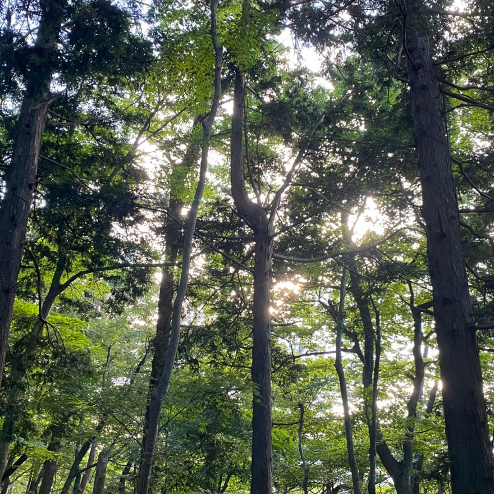 bushcraft campsite odawara iryuda kanagawa japan