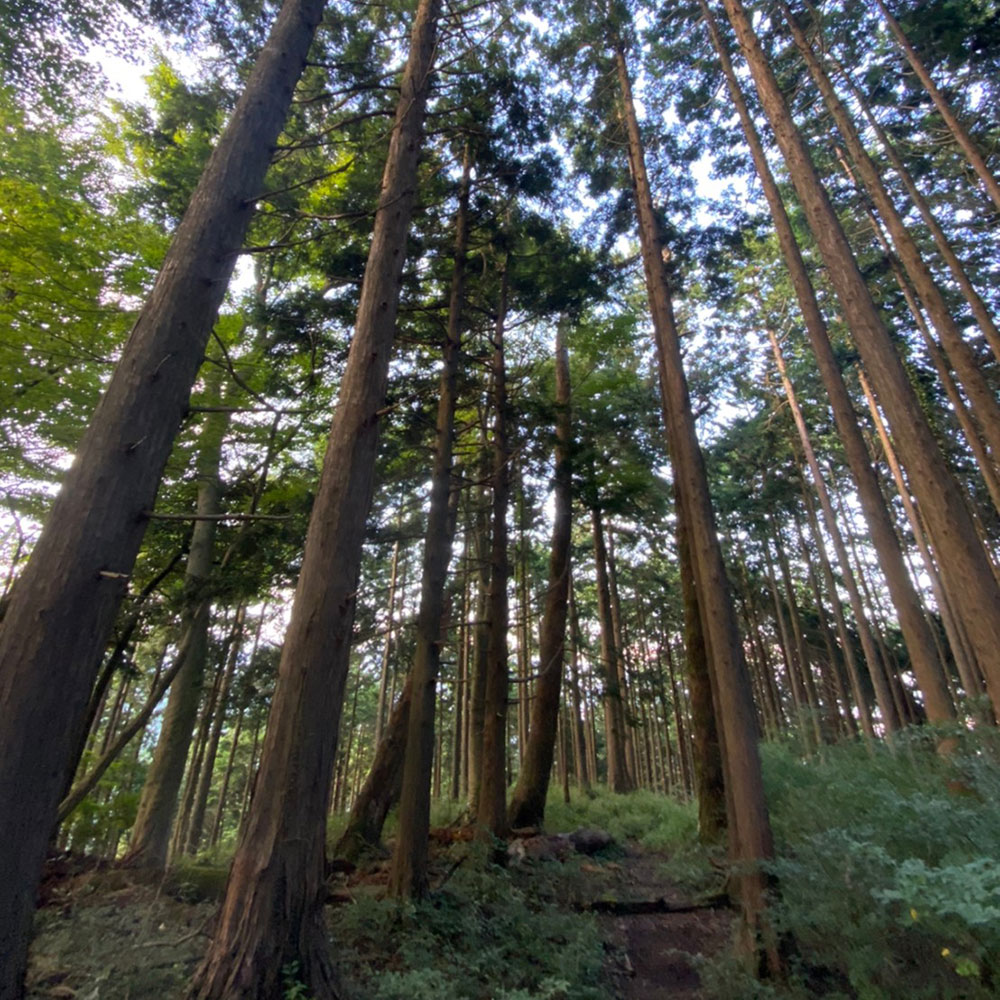 bushcraft campsite odawara iryuda kanagawa japan
