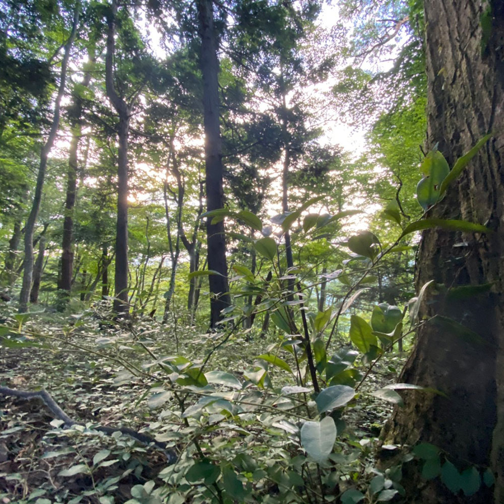 bushcraft campsite odawara iryuda kanagawa japan