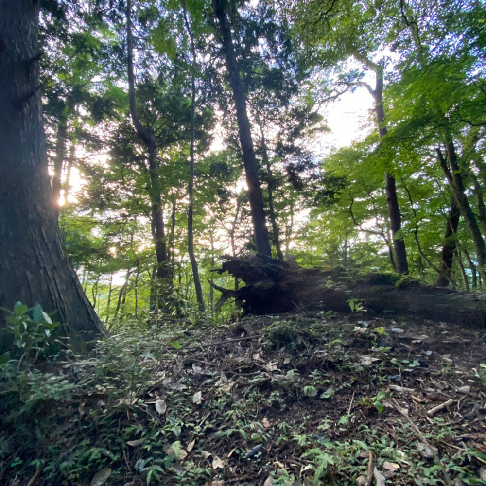 bushcraft campsite odawara iryuda kanagawa japan