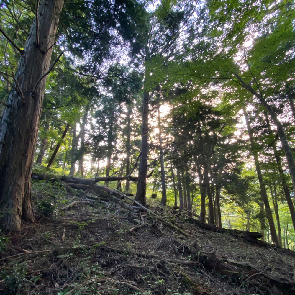bushcraft campsite odawara iryuda kanagawa japan