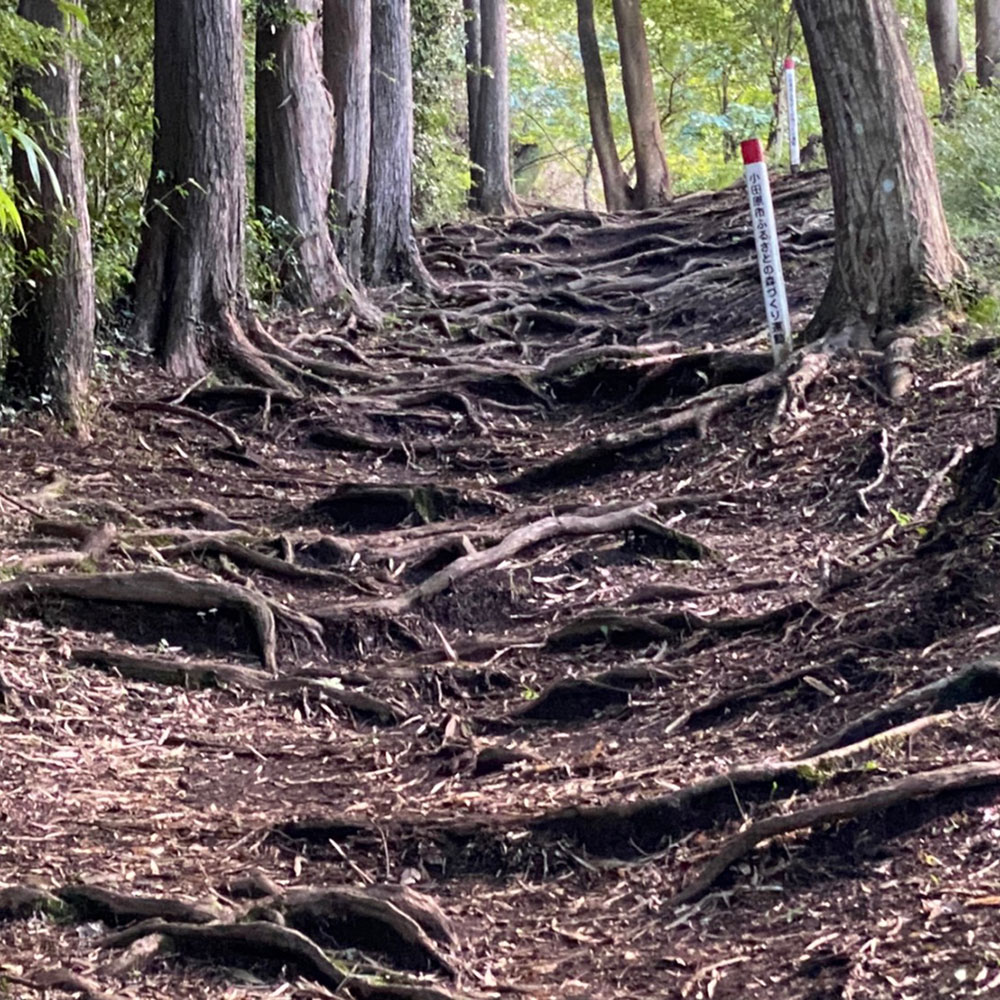 bushcraft campsite odawara iryuda kanagawa japan