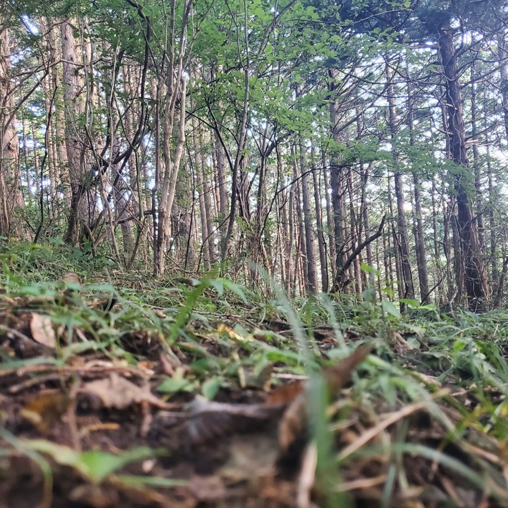 bushcraft campsite odawara iryuda kanagawa japan