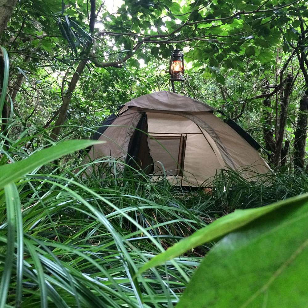 bushcraft campsite izuoshima  japan