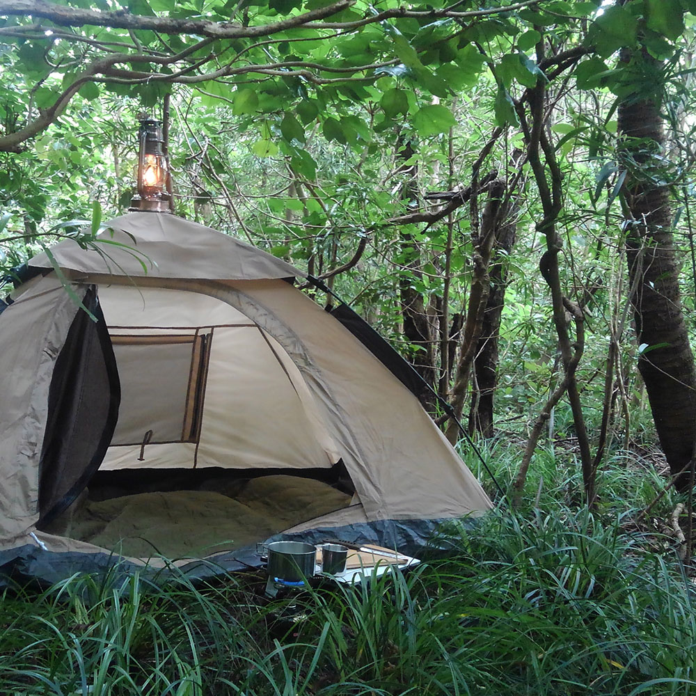 bushcraft campsite izuoshima  japan