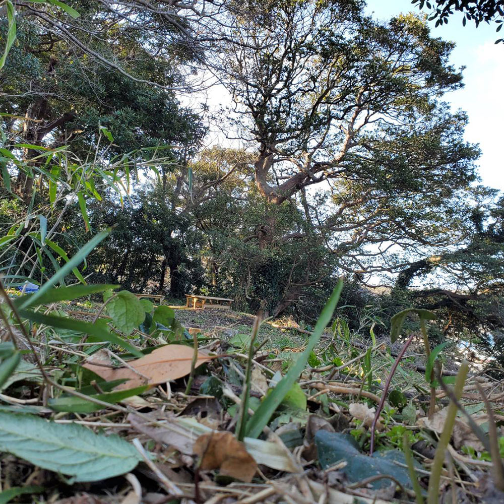 bushcraft campsite kaneda miura kanagawa japan