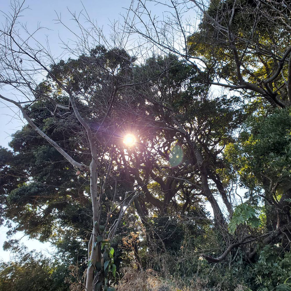 bushcraft campsite kaneda miura kanagawa japan