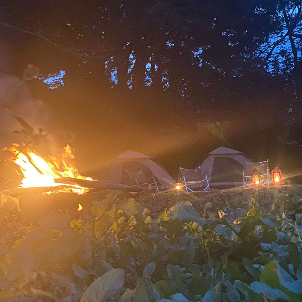 bushcraft campsite kaneda miura kanagawa japan