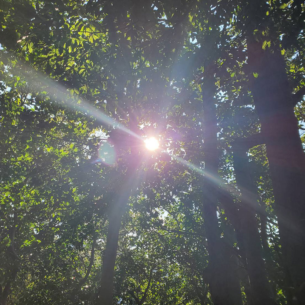 bushcraft campsite yokosuka koyabe kanagawa japan
