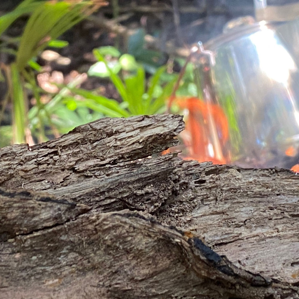 bushcraft campsite yokosuka koyabe kanagawa japan