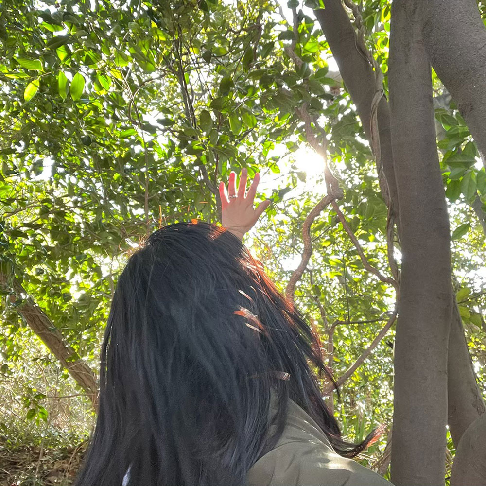 bushcraft campsite yokosuka koyabe kanagawa japan