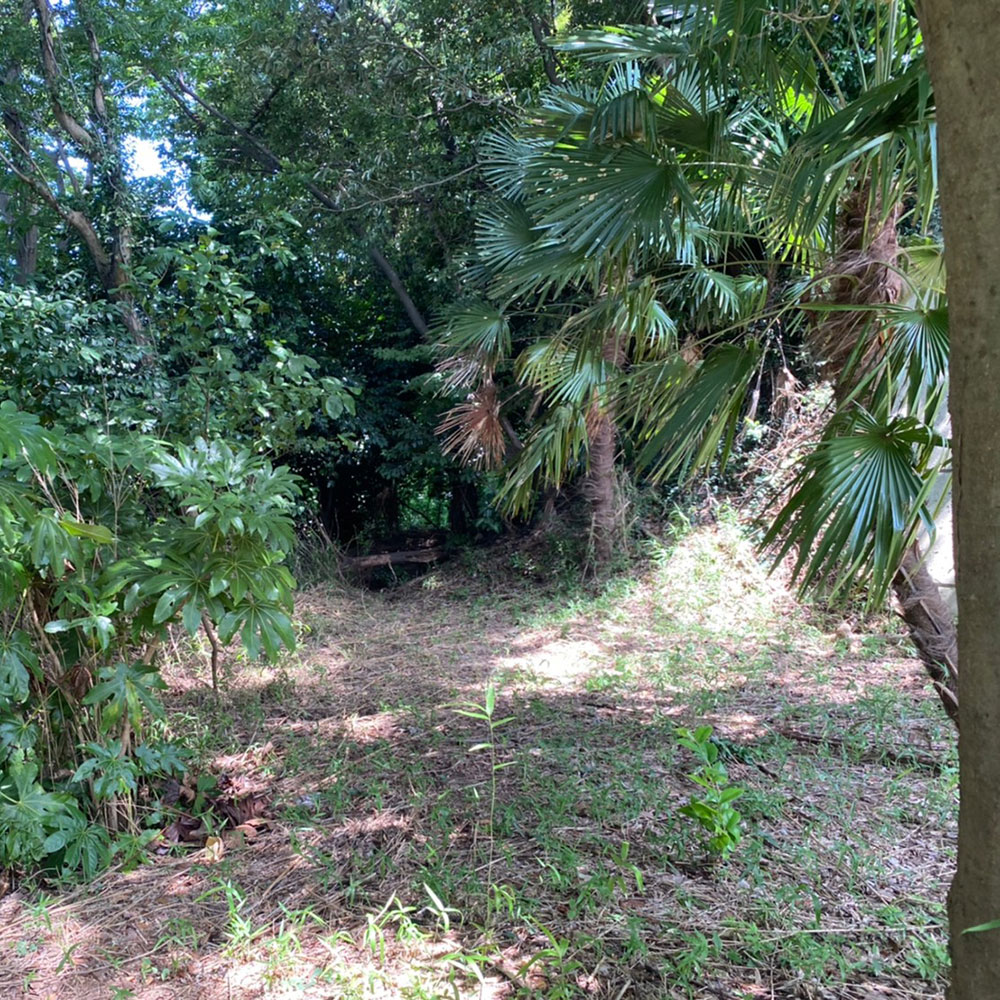 bushcraft campsite yokosuka koyabe  kanagawa japan