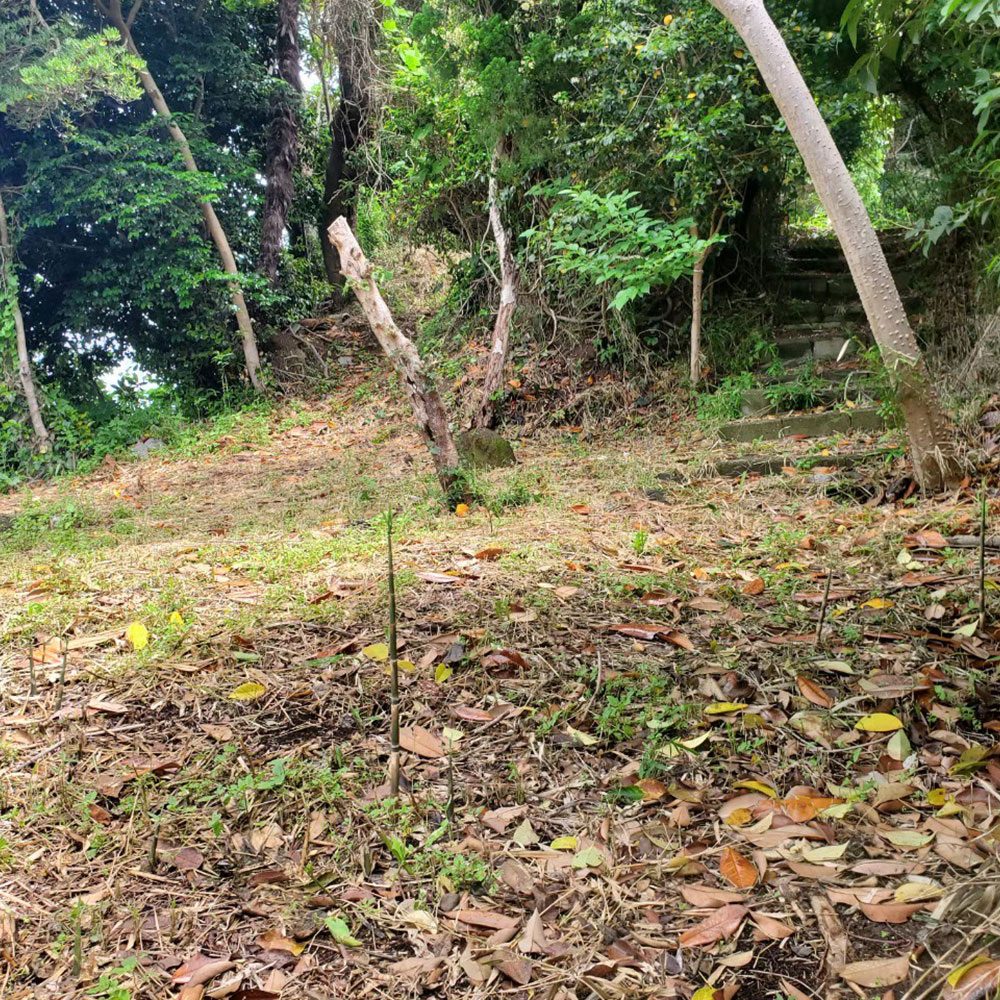bushcraft campsite yokosuka koyabe  kanagawa japan
