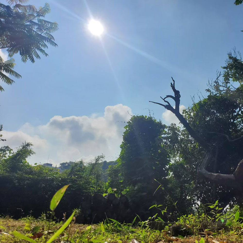 bushcraft campsite yokosuka koyabe  kanagawa japan