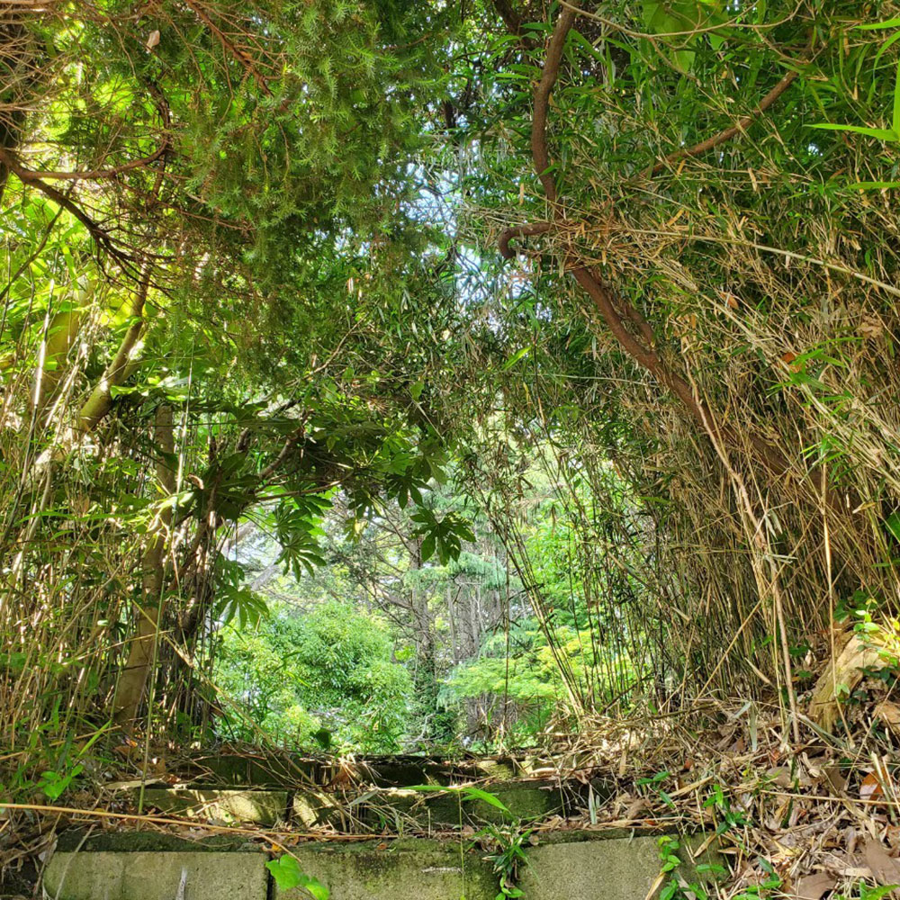 bushcraft campsite yokosuka koyabe  kanagawa japan