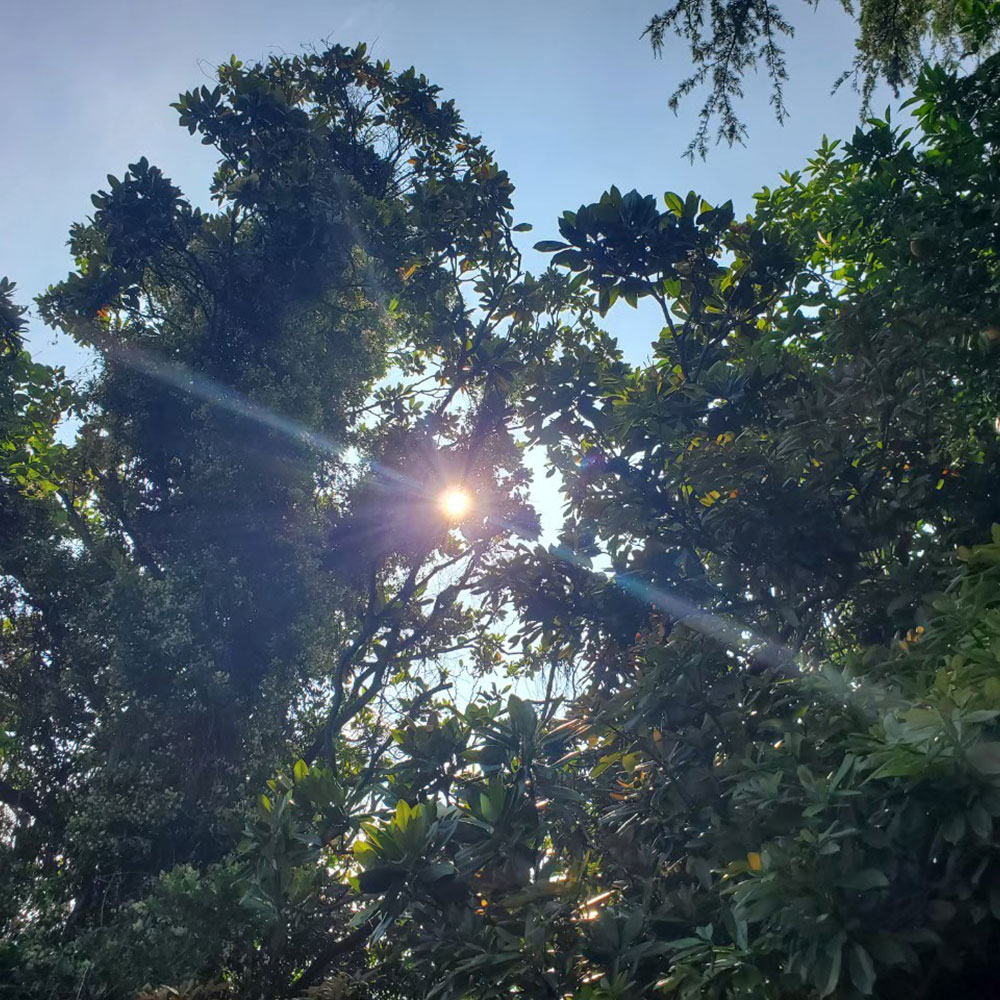 bushcraft campsite yokosuka koyabe kanagawa japan