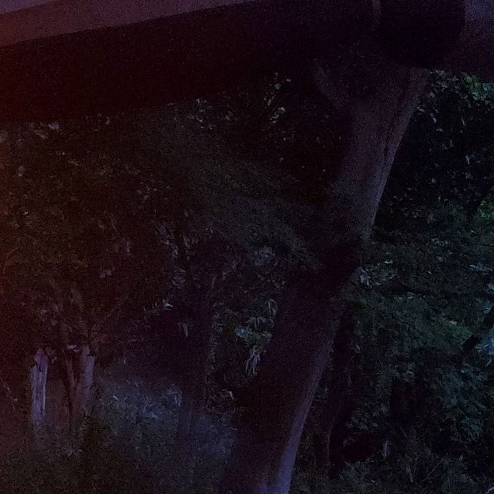 bushcraft campsite yokosuka koyabe kanagawa japan