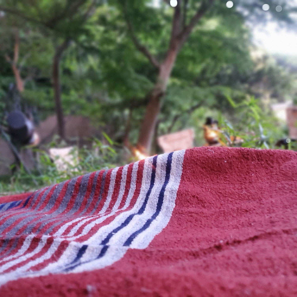 bushcraft campsite yokosuka koyabe  kanagawa japan