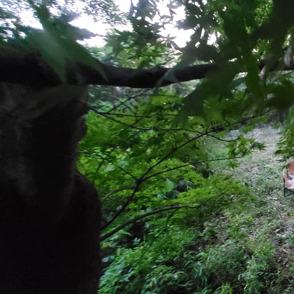 bushcraft campsite yokosuka koyabe kanagawa japan