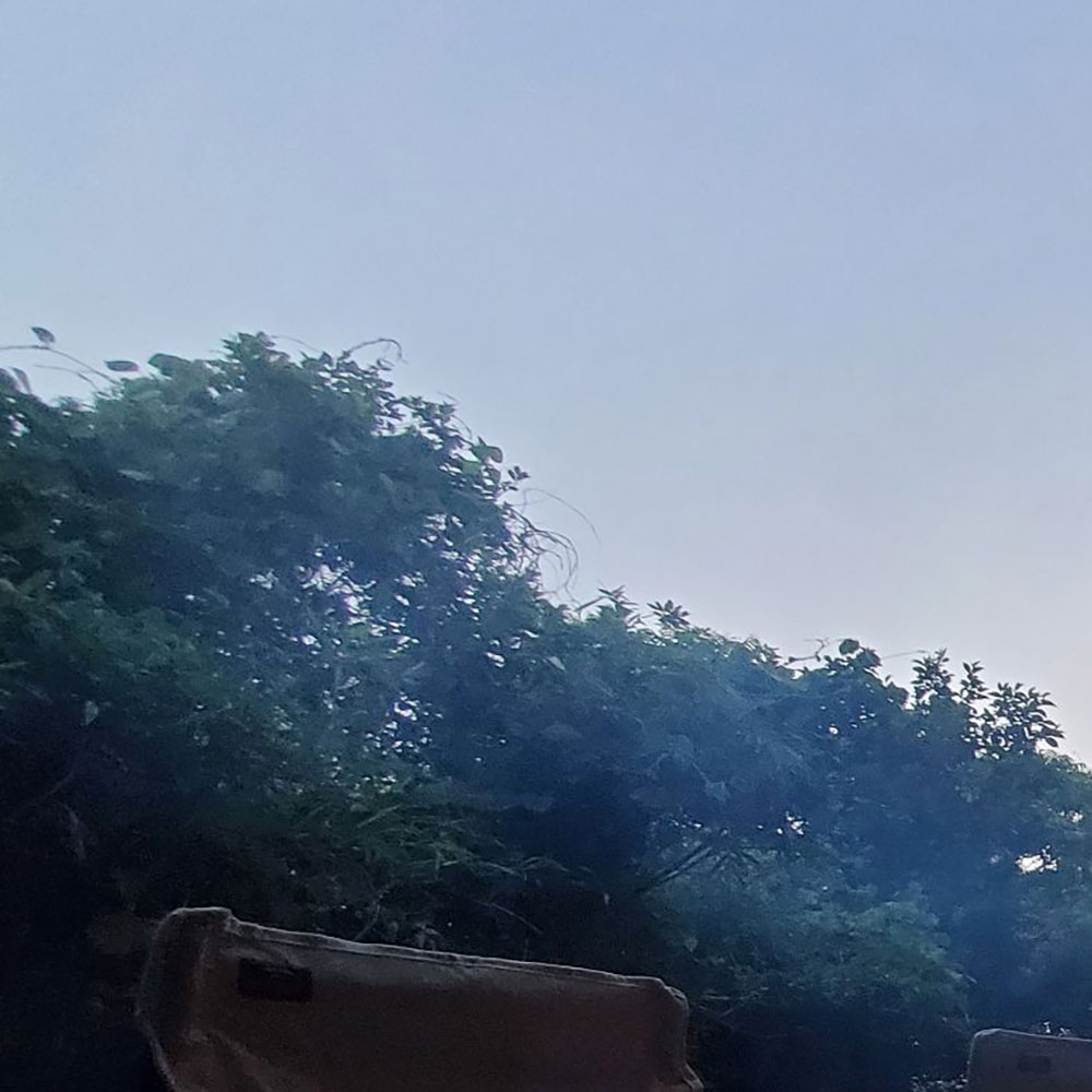 bushcraft campsite yokosuka koyabe kanagawa japan