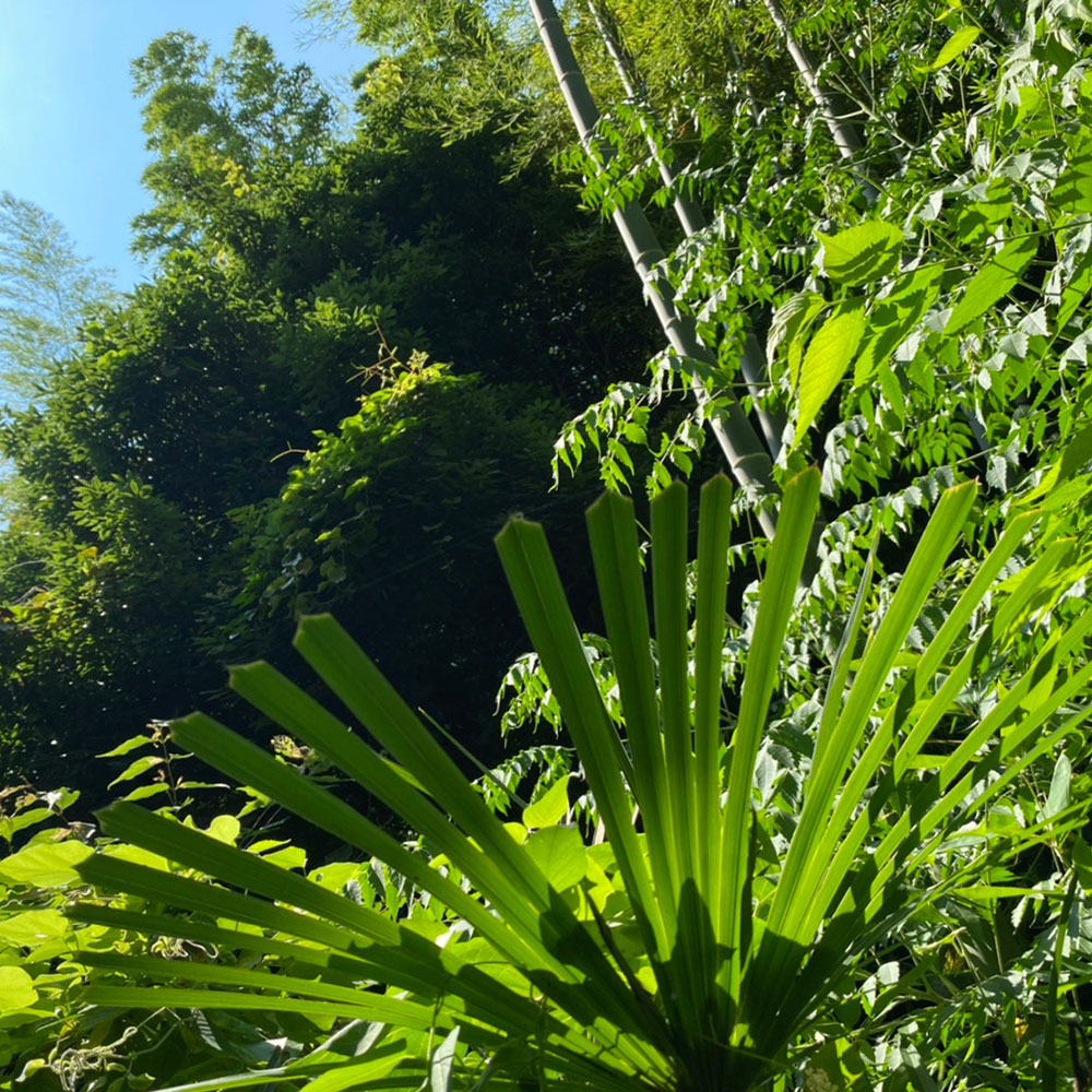 bushcraft campsite notsuda machida Tokyo  japan