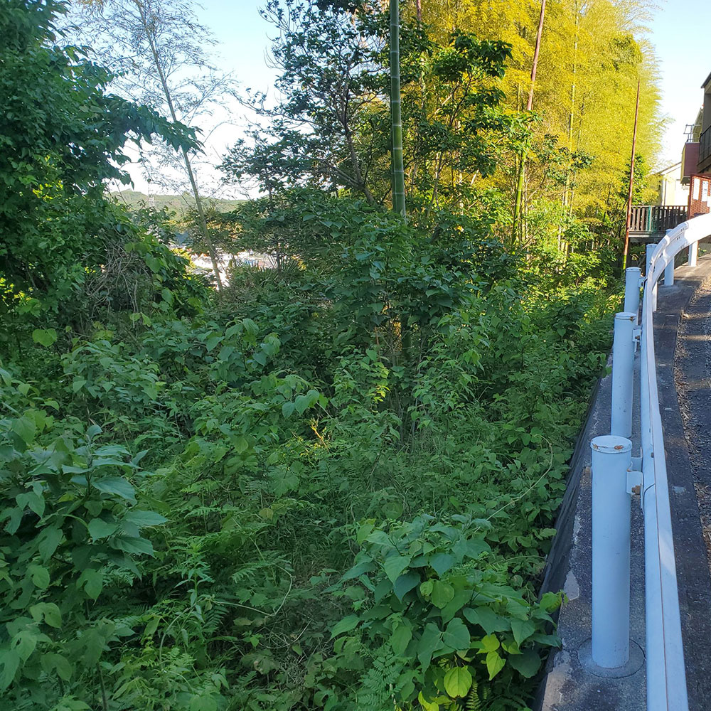 bushcraft campsite notsuda machida Tokyo  japan