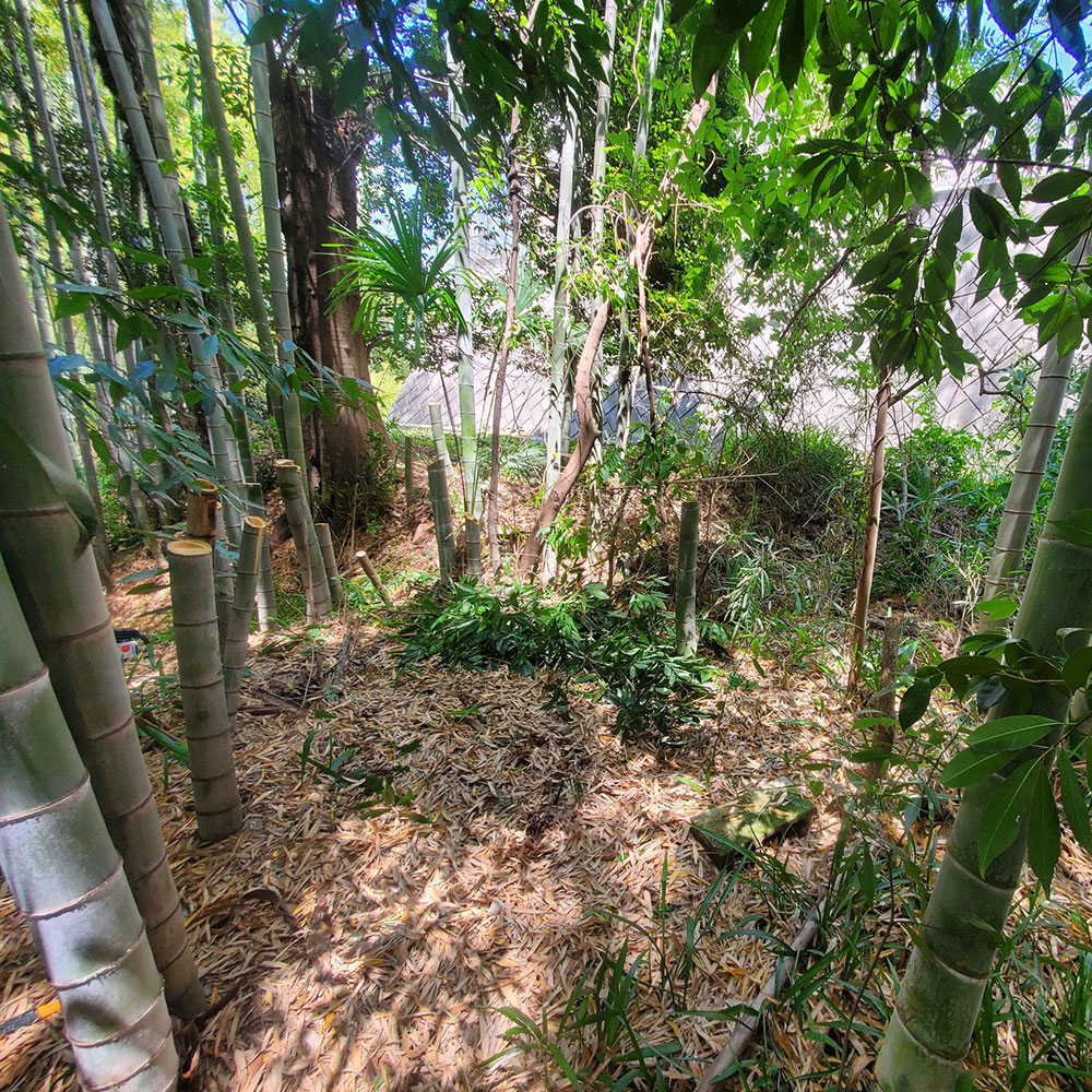 bushcraft campsite notsuda machida Tokyo  japan