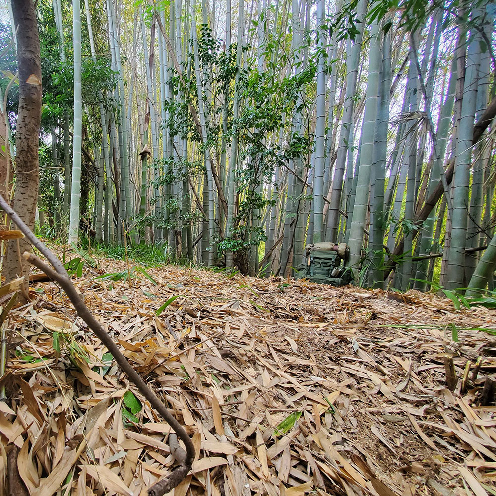 bushcraft campsite notsuda machida Tokyo  japan