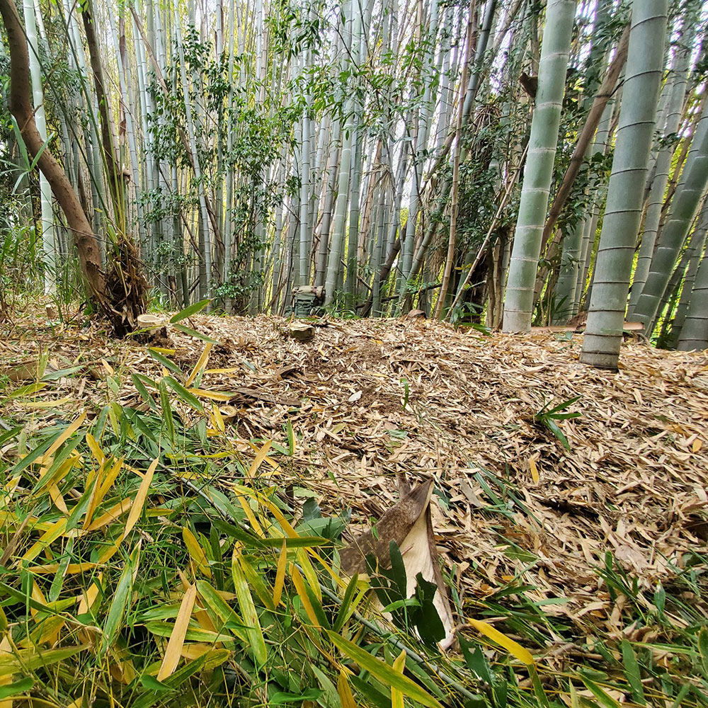 bushcraft campsite notsuda machida Tokyo  japan