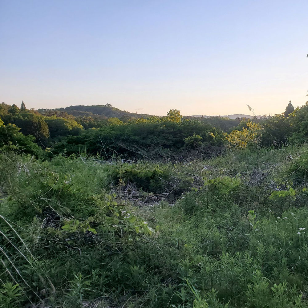 bushcraft campsite minami-soma fukushima  japan