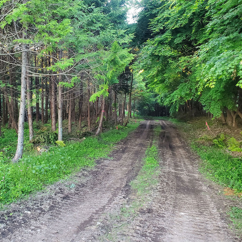 bushcraft campsite minami-soma fukushima  japan